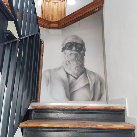 Kamienica Centrum Nr 15 * شتشيتسين
