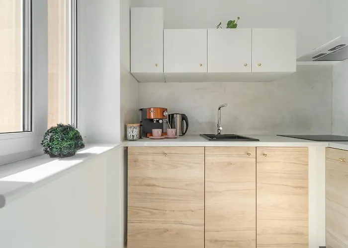 Kamienica Centrum Nr 15 *