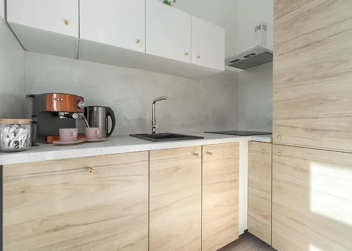 Kamienica Centrum Nr 15 * שצ'צ'ין