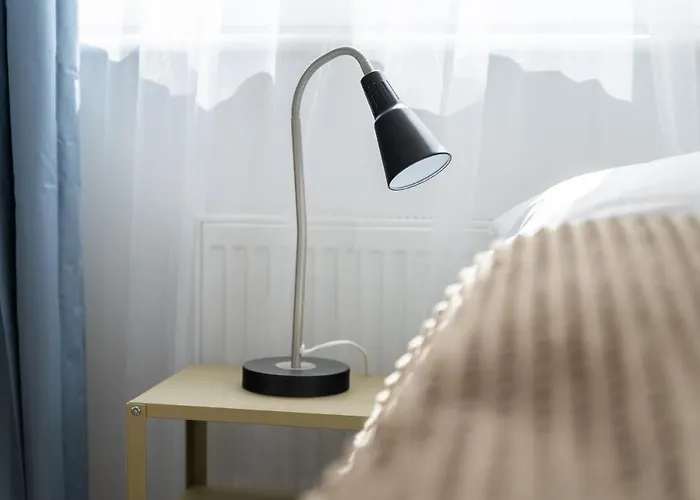 Kamienica Centrum Nr 15 *